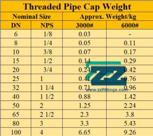 3 Threaded Cap NPT CLASS 6000 ASTM A182 F316 ASME B16.11 | ZIZI