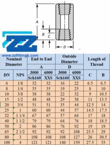 Threaded Socket BSP & NPT Coupling - 3000LB Threaded Fittings | ZIZI